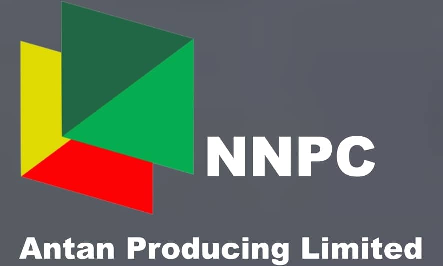 WhatsApp Image 2025-04-02 at 11.12.30